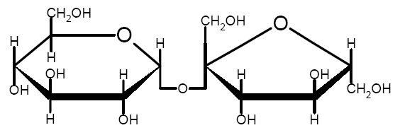 Sucrose