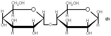 Maltose